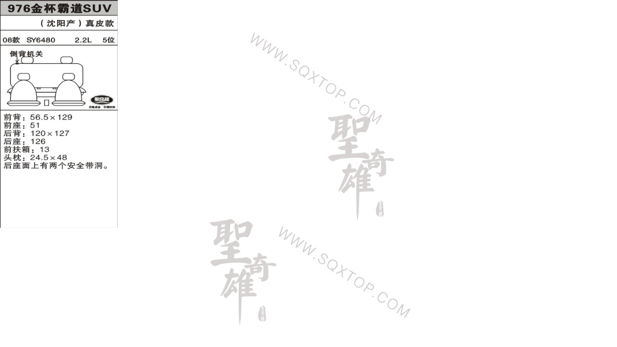 金杯霸道SUV 08年款2.2L  5座 公司內(nèi)部下單編號976.jpeg