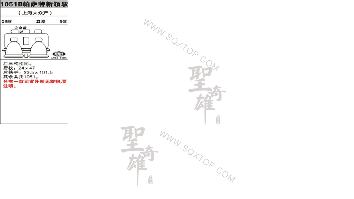 大眾帕薩特新領(lǐng)馭09年款5座 公司內(nèi)部下單編號1051B.jpeg
