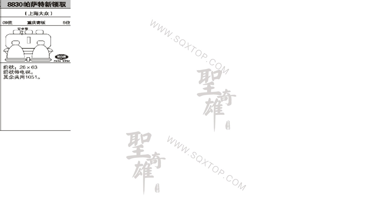 大眾帕薩特新領(lǐng)馭09年款5座 公司內(nèi)部下單編號8830.jpeg