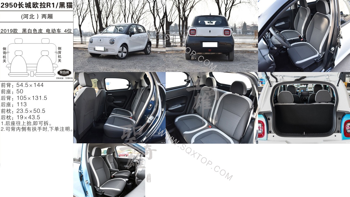 長(zhǎng)城歐拉R1 黑貓 19款 電動(dòng)車 4座 公司內(nèi)部下單編號(hào)2950.jpg